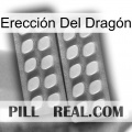 Erección Del Dragón 07